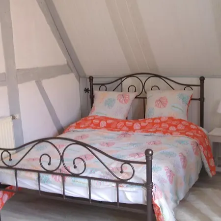 De Charme Au Coeur Du Vignoble Alsacien *